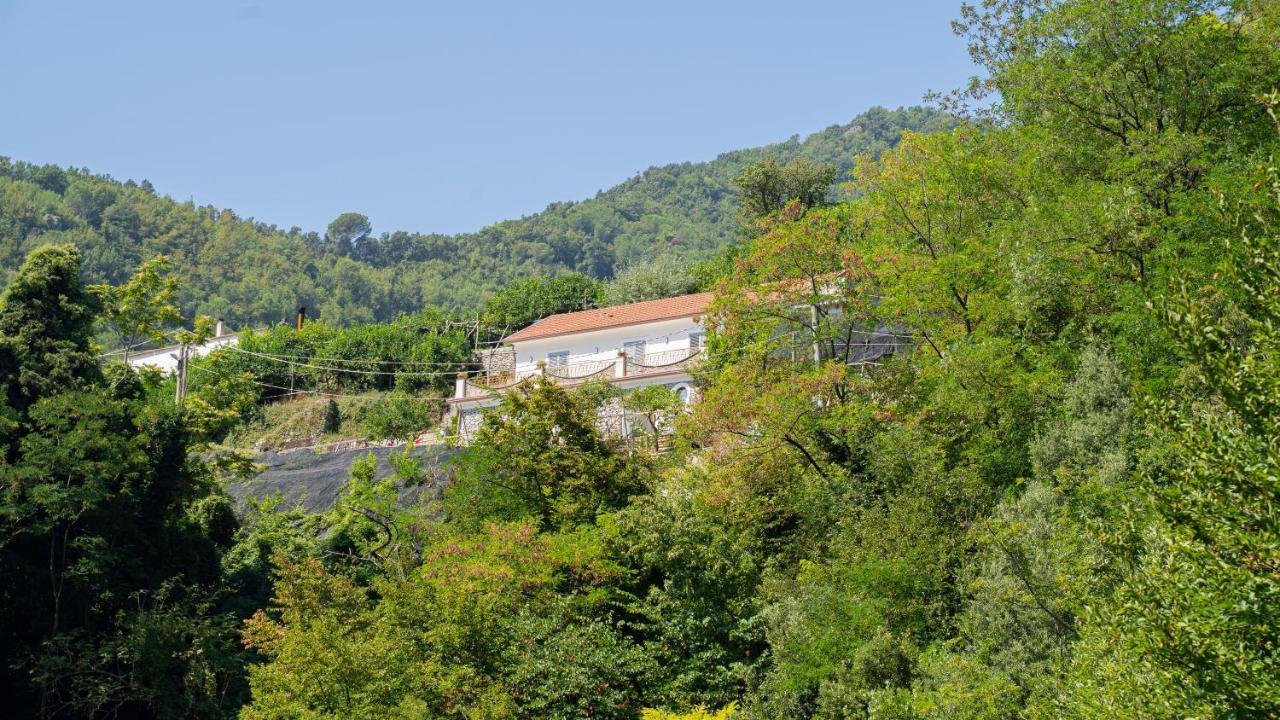Tra Sole E Limoni Apartments Tramonti Exterior photo